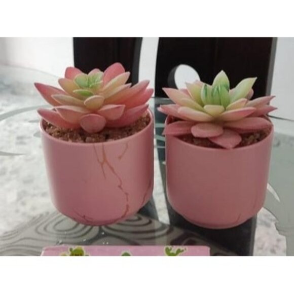 New Fake Succulents, Mini Succulents Plants Artificial in Pink Ceramic Pots - Picture 2 of 2